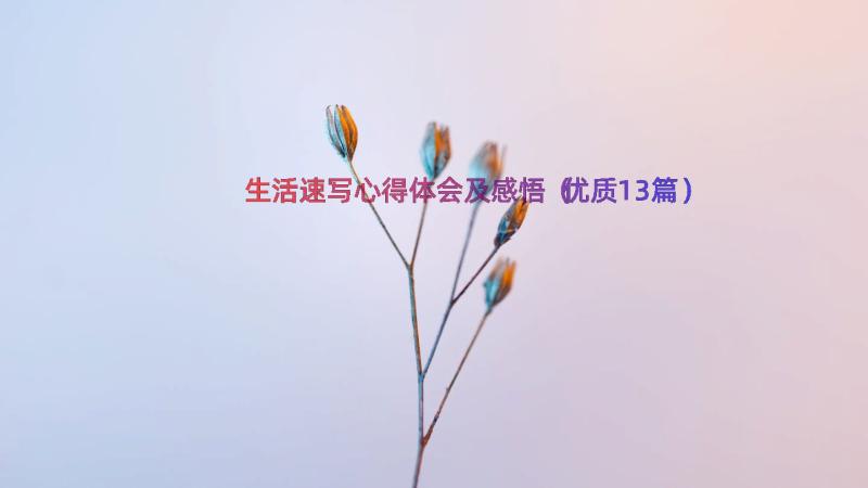 生活速写心得体会及感悟（优质13篇）