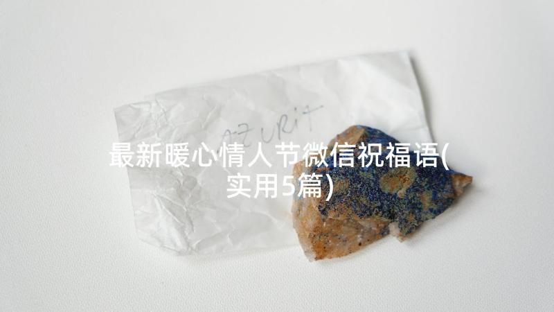 最新暖心情人节微信祝福语(实用5篇)