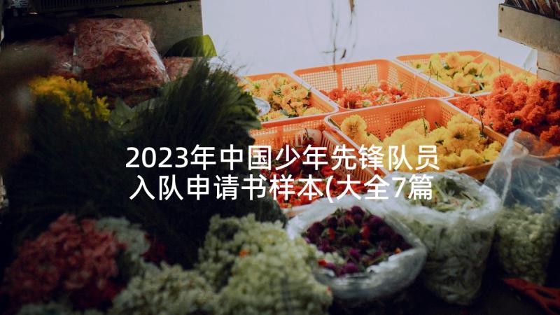 2023年中国少年先锋队员入队申请书样本(大全7篇)