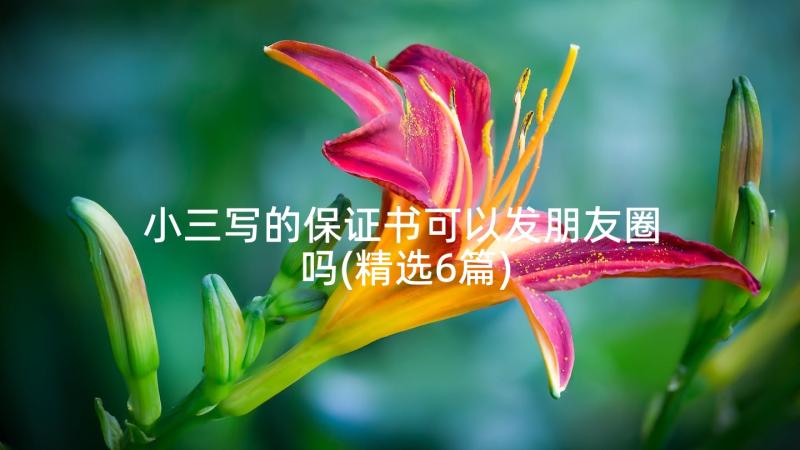 小三写的保证书可以发朋友圈吗(精选6篇)