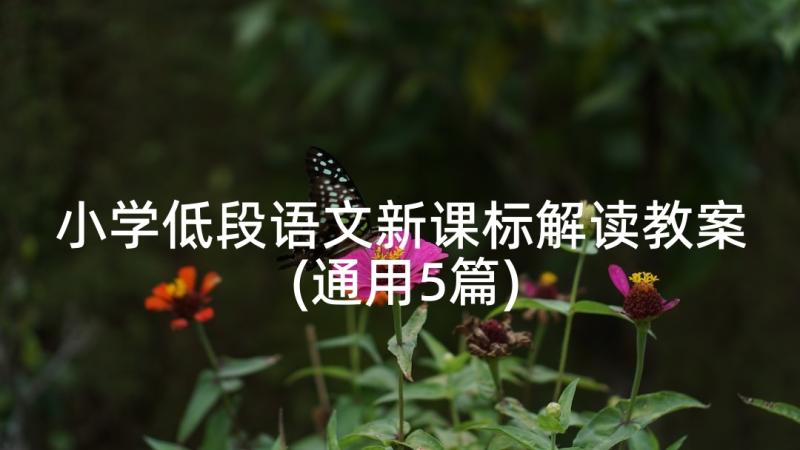 小学低段语文新课标解读教案(通用5篇)