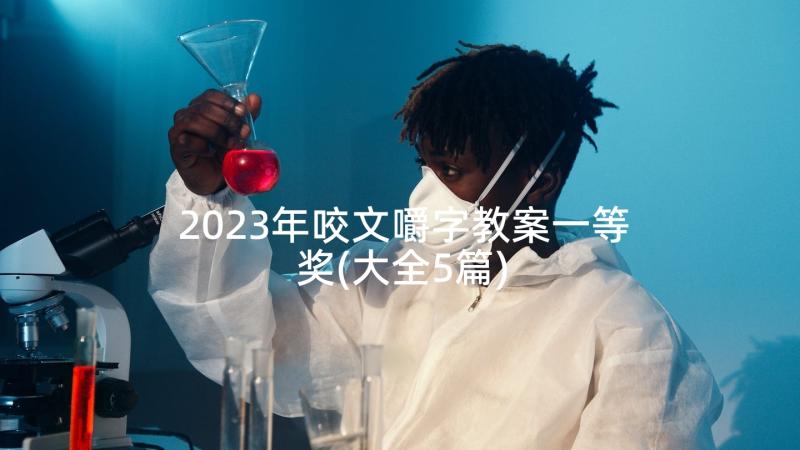 2023年咬文嚼字教案一等奖(大全5篇)