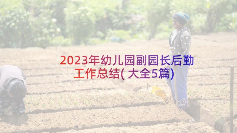 2023年幼儿园副园长后勤工作总结(大全5篇)