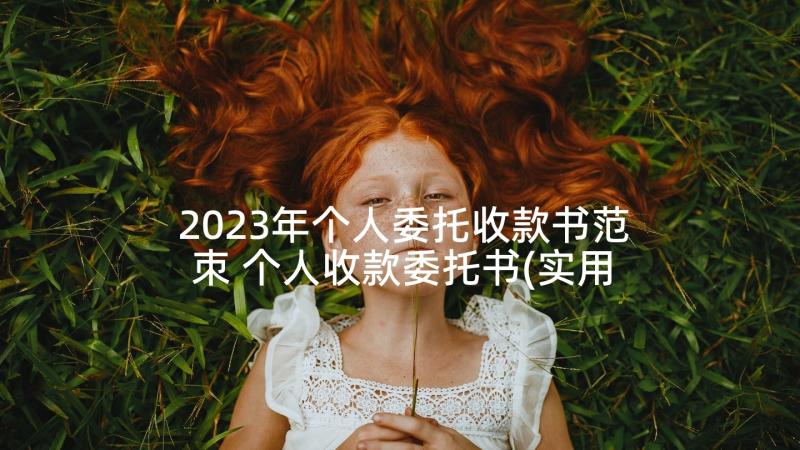 2023年个人委托收款书范朿 个人收款委托书(实用10篇)