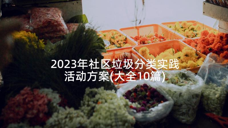 2023年社区垃圾分类实践活动方案(大全10篇)