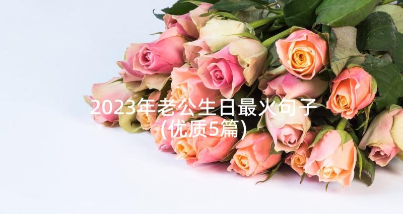 2023年老公生日最火句子(优质5篇)