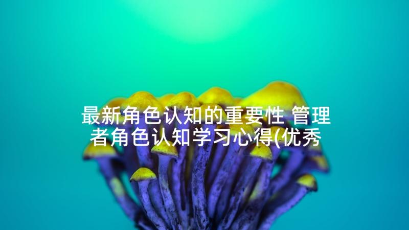 最新角色认知的重要性 管理者角色认知学习心得(优秀5篇)