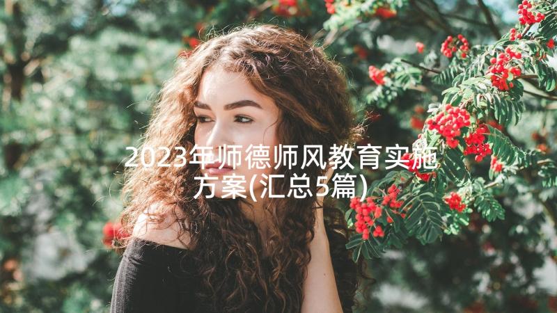 2023年师德师风教育实施方案(汇总5篇)