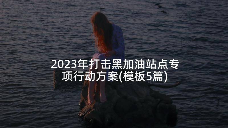 2023年打击黑加油站点专项行动方案(模板5篇)