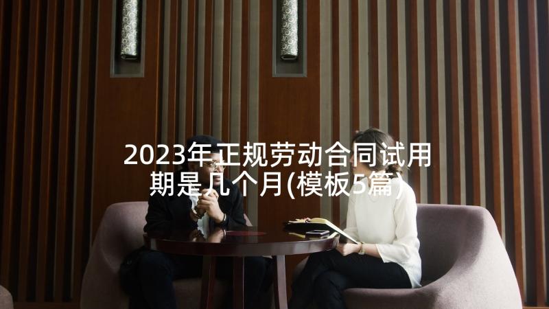 2023年正规劳动合同试用期是几个月(模板5篇)