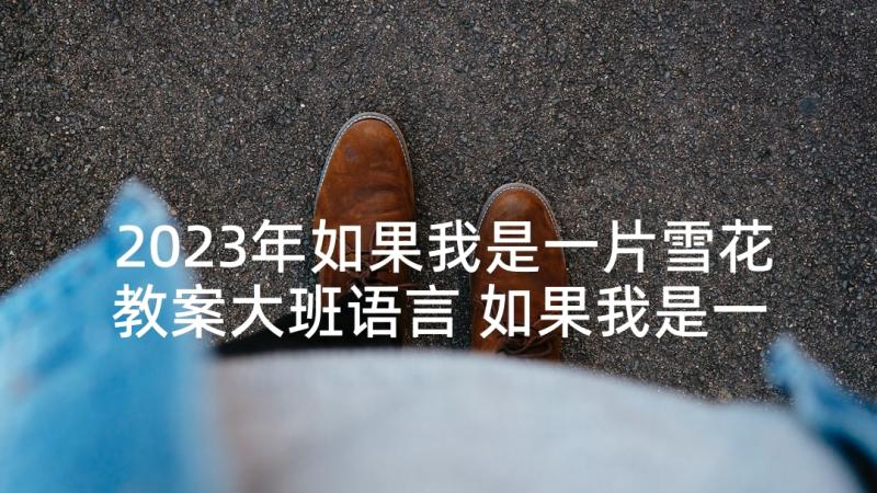 2023年如果我是一片雪花教案大班语言 如果我是一片雪花诗歌(优质5篇)