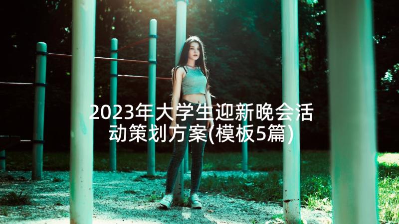 2023年大学生迎新晚会活动策划方案(模板5篇)