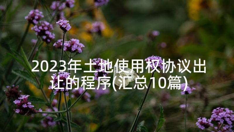 2023年土地使用权协议出让的程序(汇总10篇)