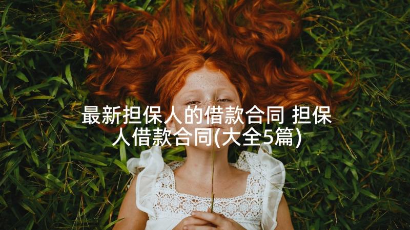 最新担保人的借款合同 担保人借款合同(大全5篇)