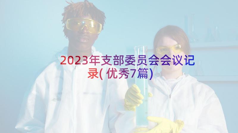 2023年支部委员会会议记录(优秀7篇)