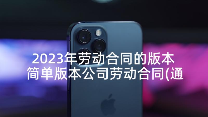 2023年劳动合同的版本 简单版本公司劳动合同(通用5篇)