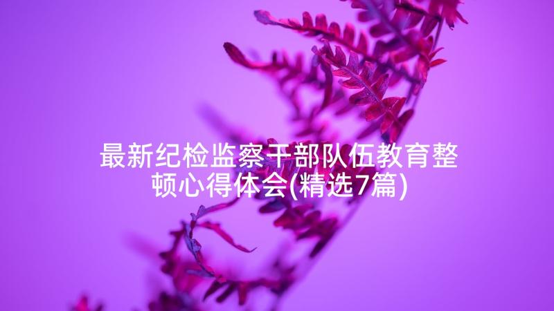 最新纪检监察干部队伍教育整顿心得体会(精选7篇)