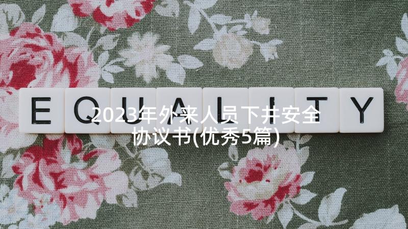 2023年外来人员下井安全协议书(优秀5篇)