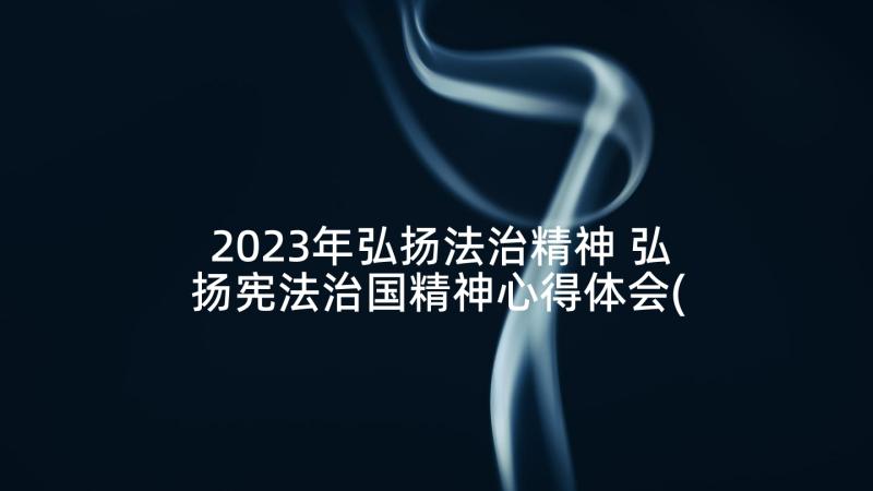 2023年弘扬法治精神 弘扬宪法治国精神心得体会(精选5篇)