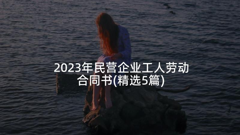 2023年民营企业工人劳动合同书(精选5篇)