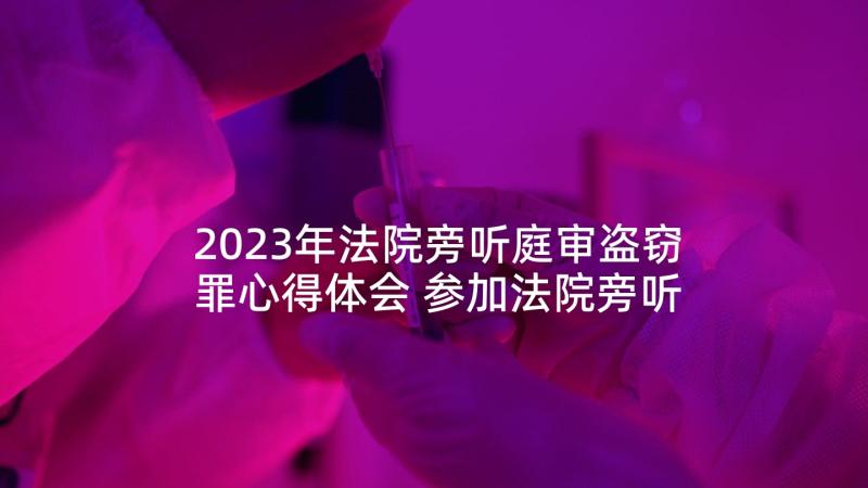 2023年法院旁听庭审盗窃罪心得体会 参加法院旁听庭审心得体会(模板5篇)