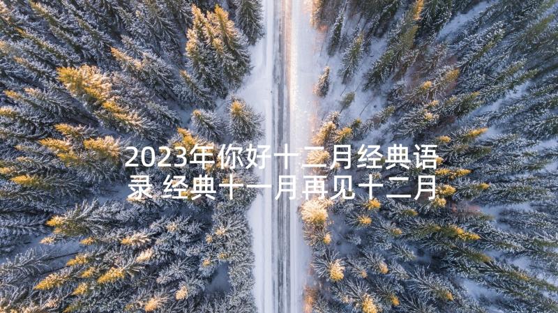 2023年你好十二月经典语录 经典十一月再见十二月你好座右铭语录(通用5篇)