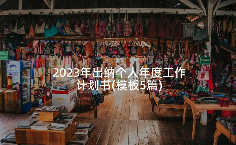 2023年出纳个人年度工作计划书(模板5篇)