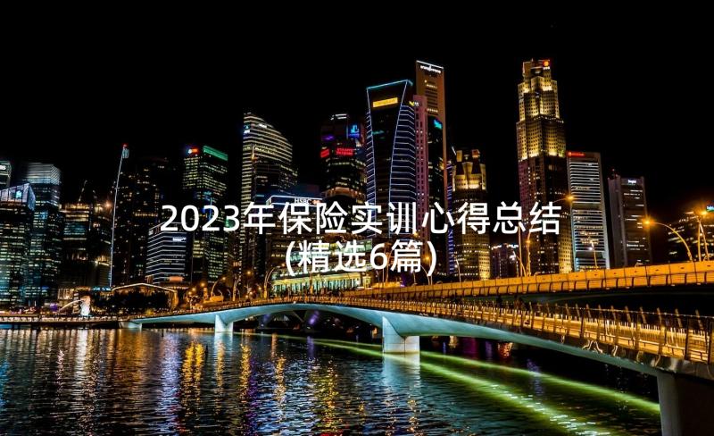 2023年保险实训心得总结(精选6篇)