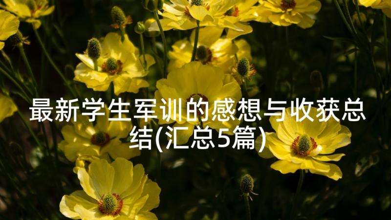 最新学生军训的感想与收获总结(汇总5篇)