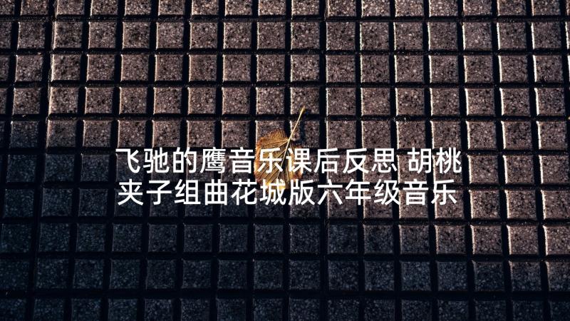 飞驰的鹰音乐课后反思 胡桃夹子组曲花城版六年级音乐教学反思(大全5篇)