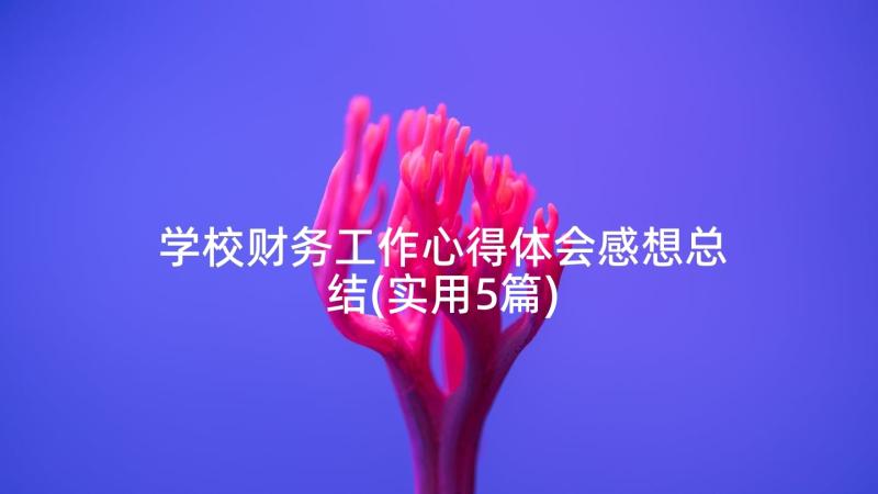 学校财务工作心得体会感想总结(实用5篇)