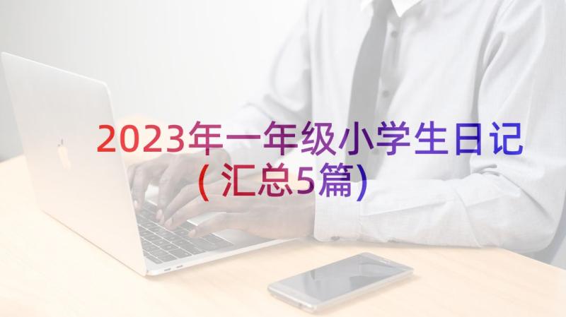 2023年一年级小学生日记(汇总5篇)