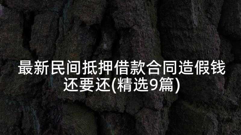 最新民间抵押借款合同造假钱还要还(精选9篇)