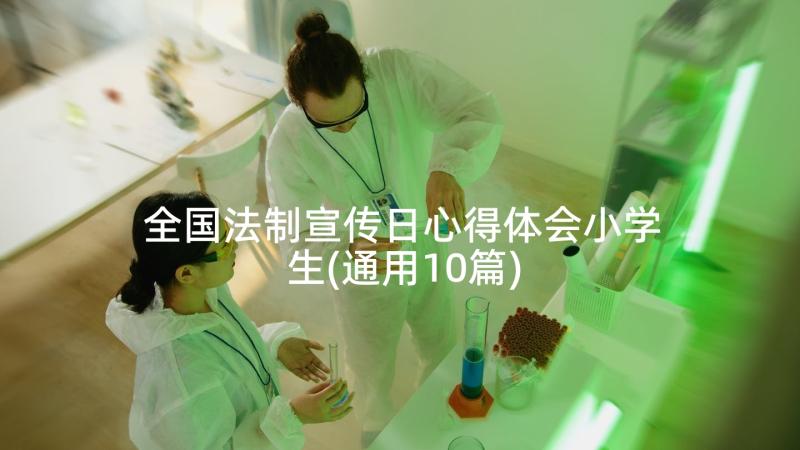 全国法制宣传日心得体会小学生(通用10篇)