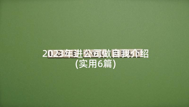 2023年进公司做自我介绍(实用6篇)