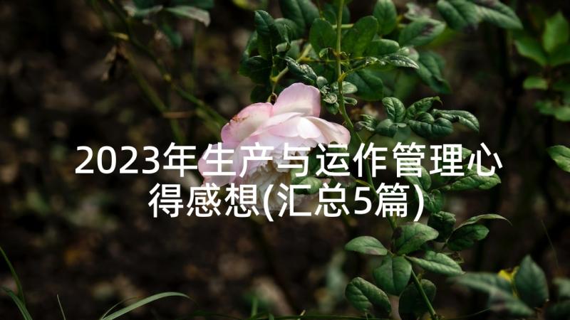 2023年生产与运作管理心得感想(汇总5篇)