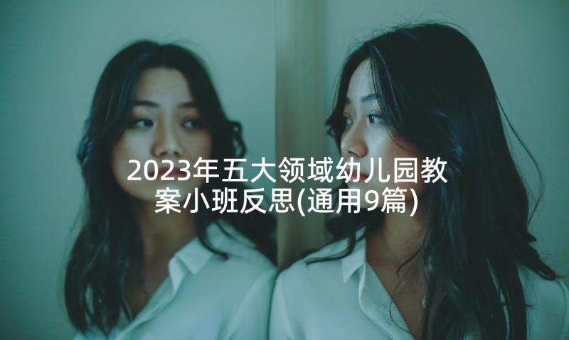 2023年五大领域幼儿园教案小班反思(通用9篇)