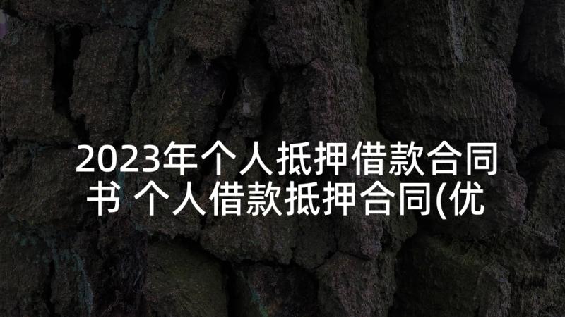 2023年个人抵押借款合同书 个人借款抵押合同(优质6篇)