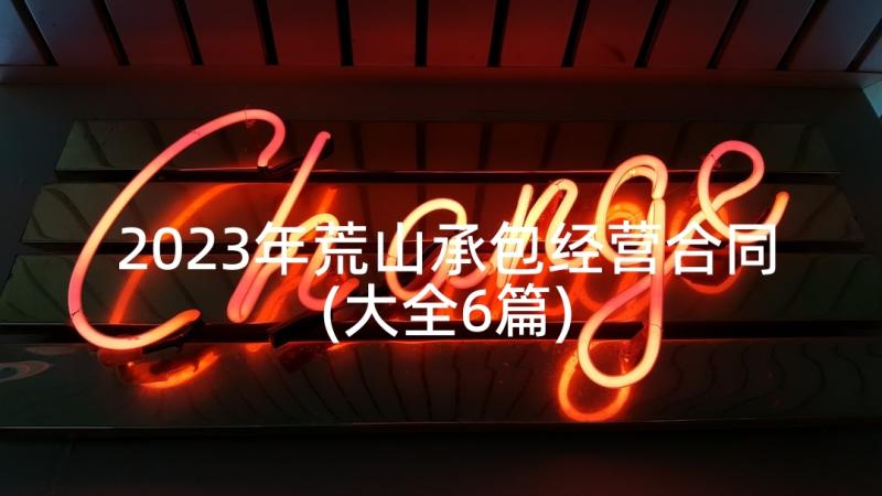 2023年荒山承包经营合同(大全6篇)