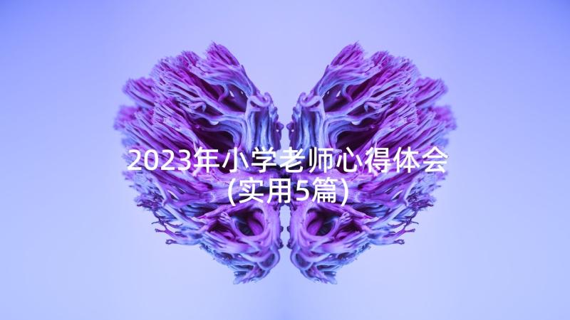 2023年小学老师心得体会(实用5篇)