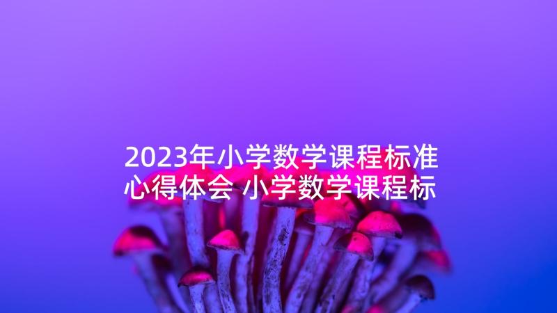 2023年小学数学课程标准心得体会 小学数学课程标准学习心得(通用10篇)