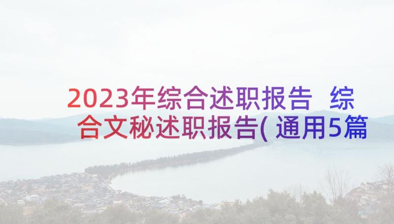 2023年综合述职报告 综合文秘述职报告(通用5篇)