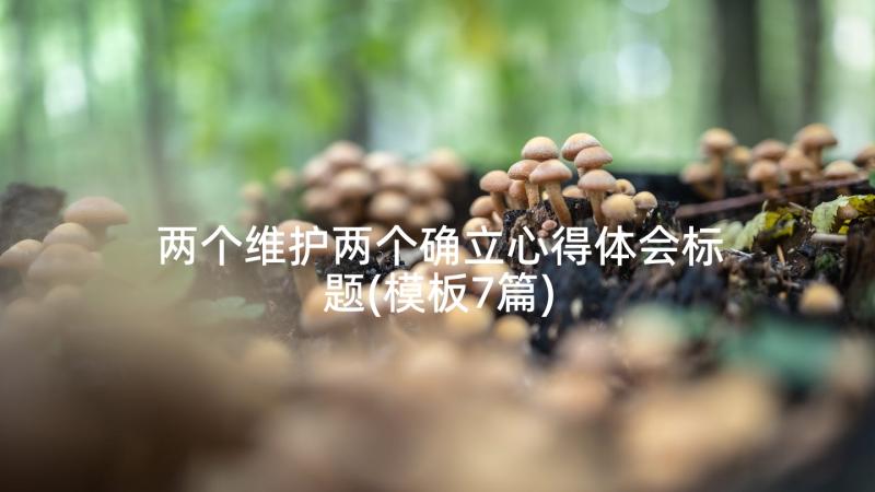 两个维护两个确立心得体会标题(模板7篇)