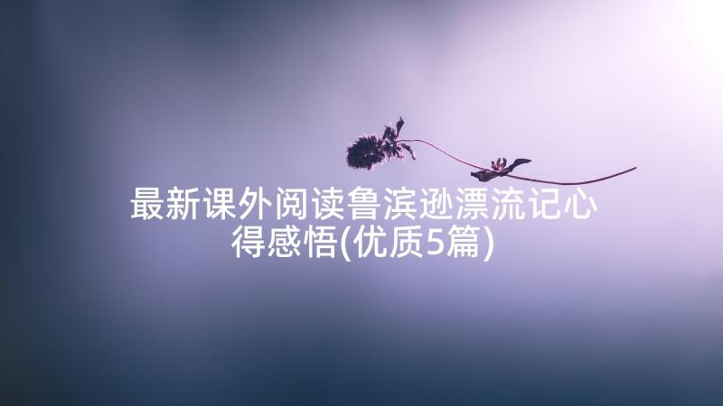 最新课外阅读鲁滨逊漂流记心得感悟(优质5篇)