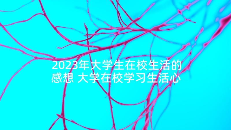 2023年大学生在校生活的感想 大学在校学习生活心得(优质5篇)