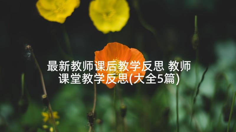 最新教师课后教学反思 教师课堂教学反思(大全5篇)