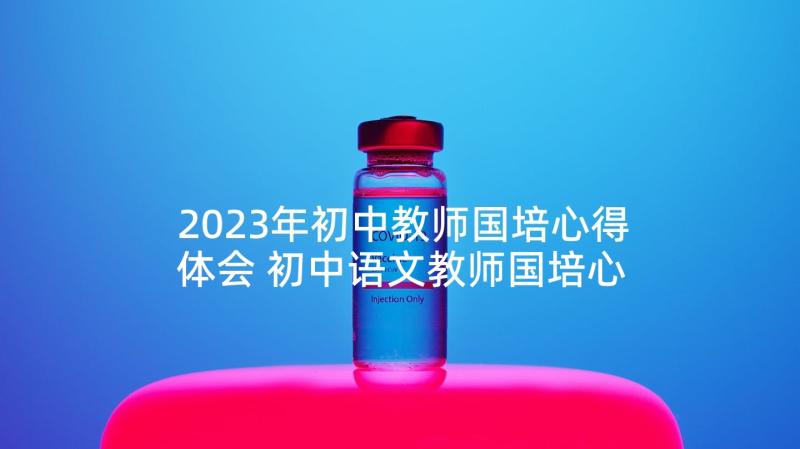 2023年初中教师国培心得体会 初中语文教师国培心得(优秀5篇)