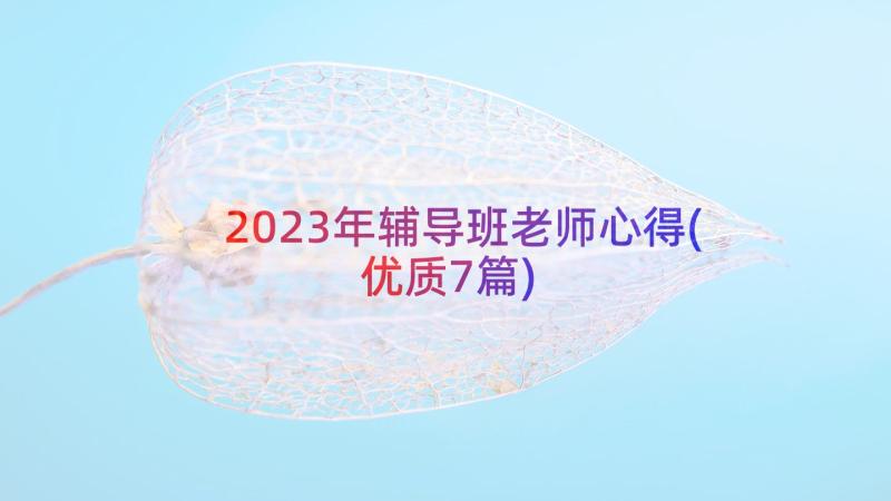 2023年辅导班老师心得(优质7篇)