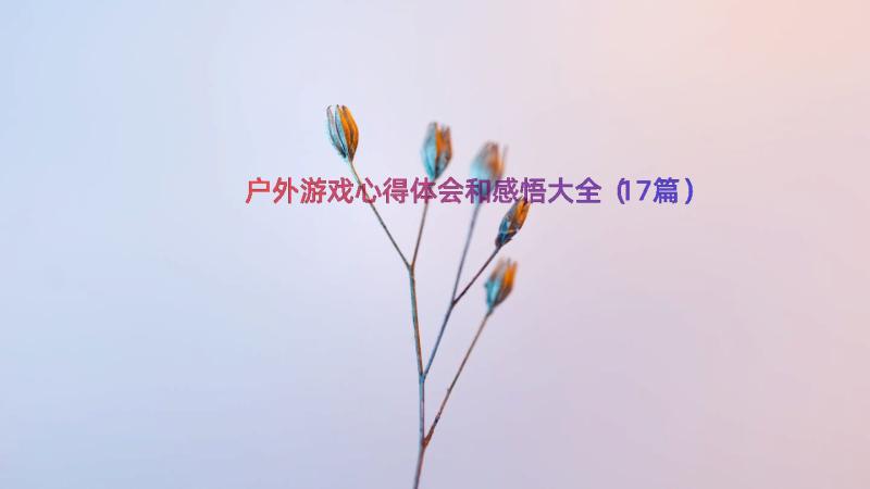 户外游戏心得体会和感悟大全（17篇）