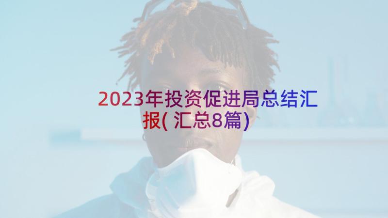 2023年投资促进局总结汇报(汇总8篇)